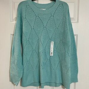 NWT Aqua Winter Sweater